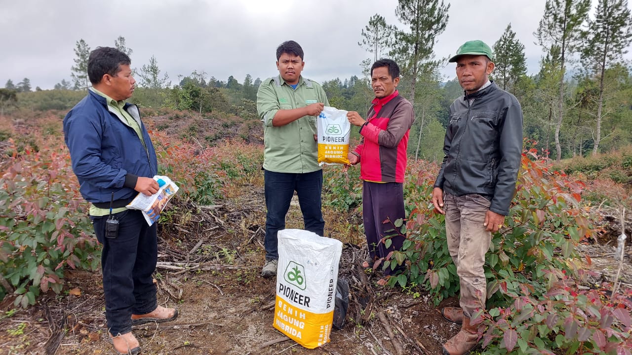 Toba Pulp Lestari (TPL) Menyalurkan Dukungan Berupa Jagung Dalam Rangka Kerjasama Program Intercrop Eukaliptus dan Tanaman Kehidupan