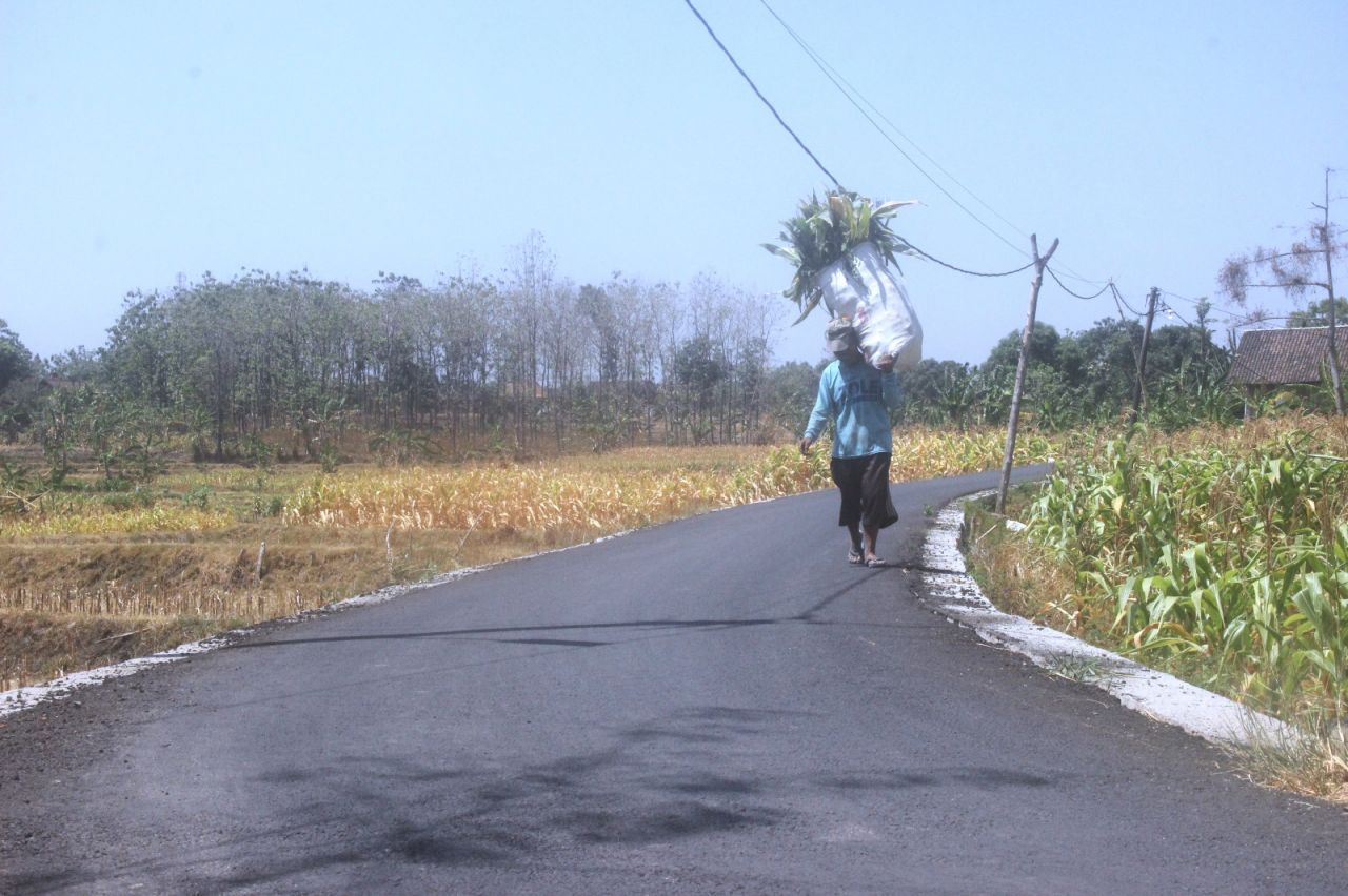 Jalan Lingkungan Nglenyer, Warga Dusun Goimo Bubulan Bawa Hasil Pertanian dengan Lancar