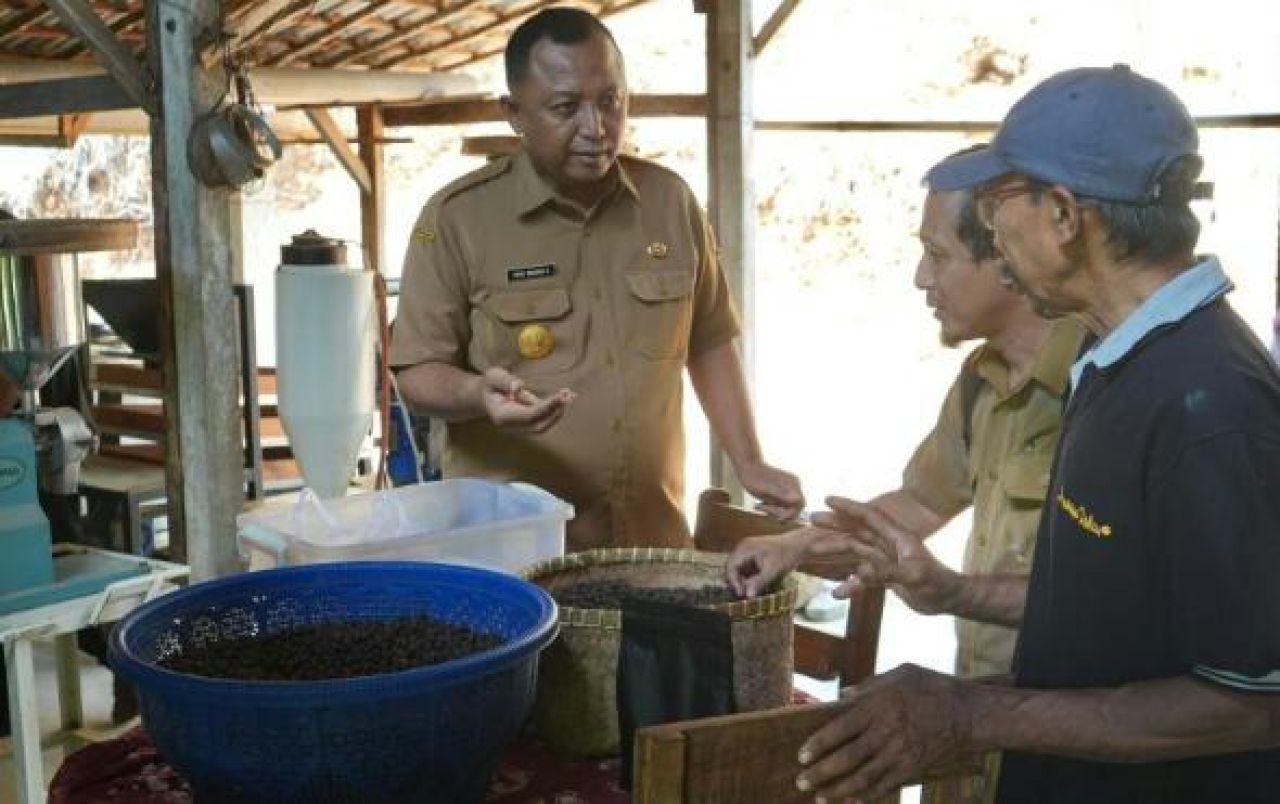 Pemkab Kediri Minta Petani Lereng Gunung Wilis Hasilkan Komoditas Kopi Berkualitas