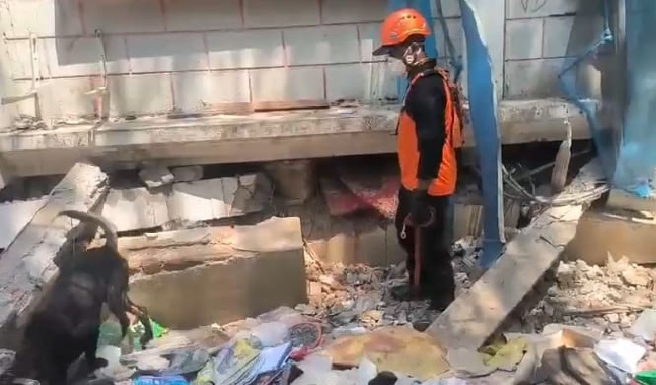 Tim K9 Polri yang Tergabung dalam Tim INASAR 1 Berhasil Temukan Korban dalam Operasi Kemanusiaan di Myanmar