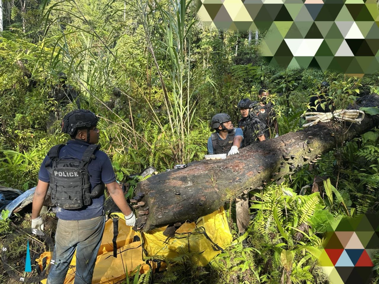 Evakuasi Jenazah Korban Pembantaian di Yahukimo Berlanjut, Dua Korban Sudah Teridentifikasi dan Satu Pasutri Selamat