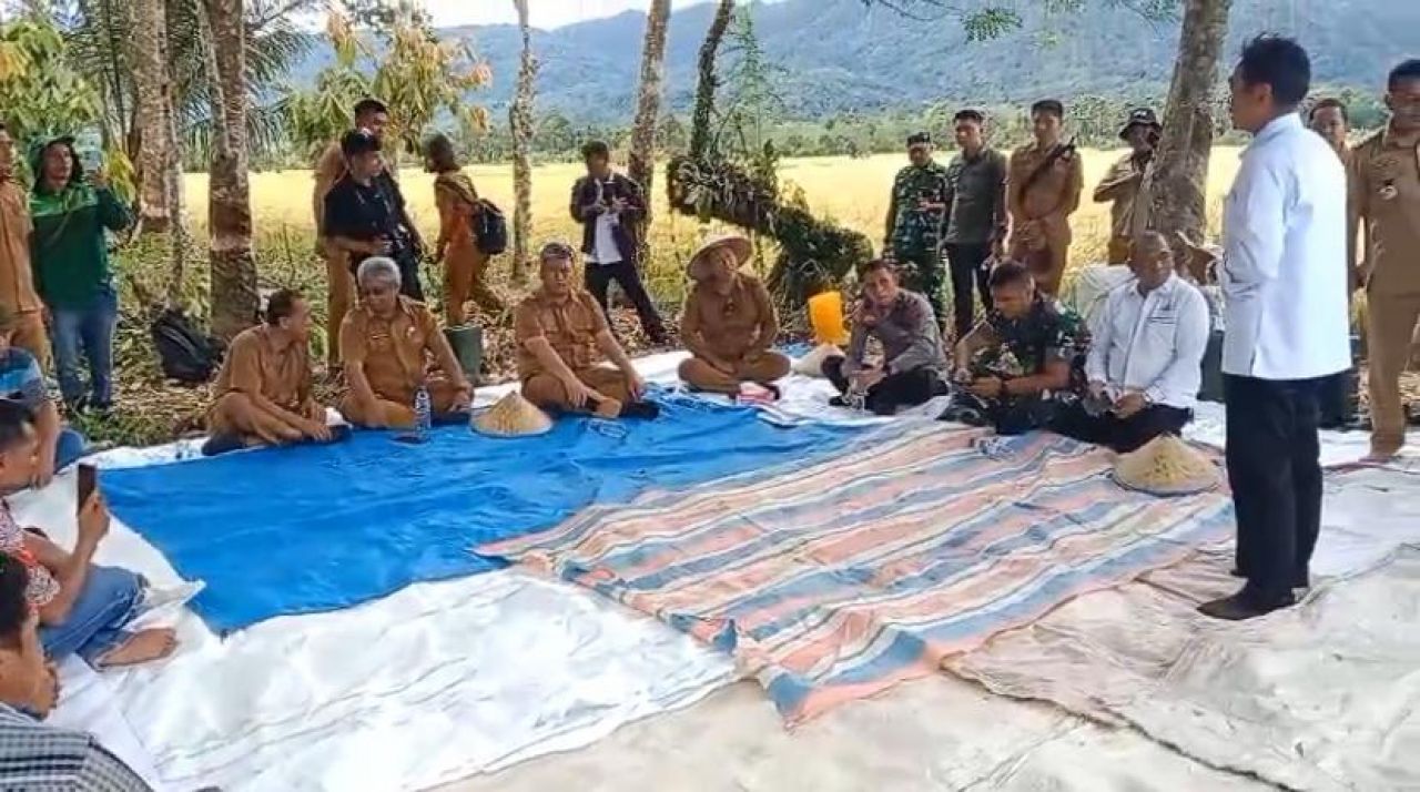 Panen Raya Padi Sawah di Tapanuli Utara, Bupati Ajak Peningkatan Ketahanan Pangan Menuju Indonesia Emas 2045