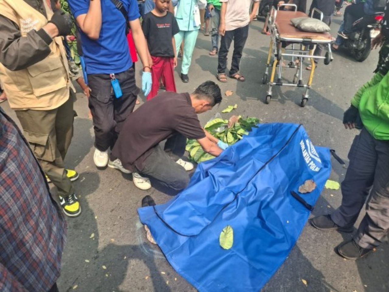 Pria 51 Tahun Tewas Tertimpa Pohon Tumbang di Jalan Benyamin Sueb Kemayoran