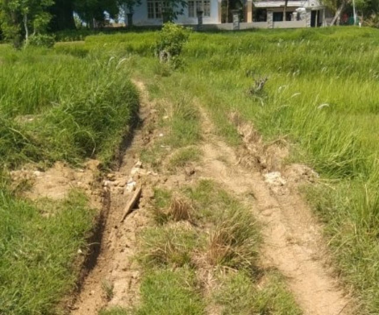 Sejak Kolonial Belanda, Akses Jalan Dusun Kokon dan Desa Gendang Barat Menuju Desa Kalowang Rusak Parah