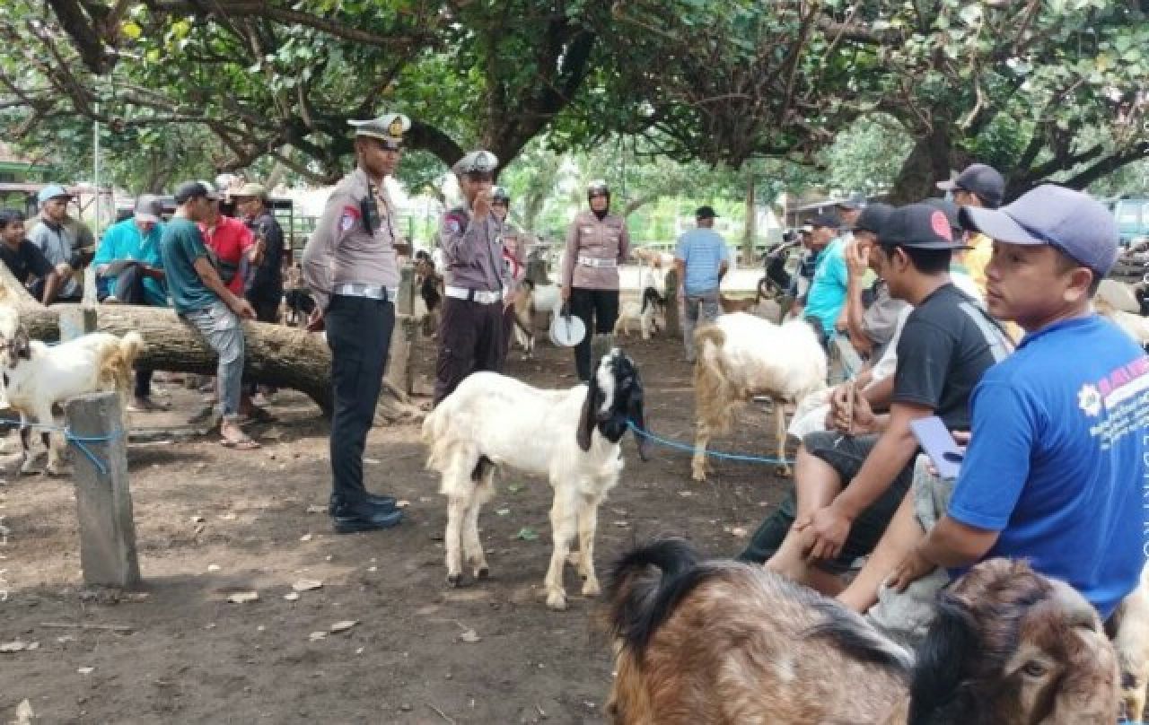 Unit Kamsel Satlantas Polres Kediri Kota Sosialisasi di Pasar Hewan