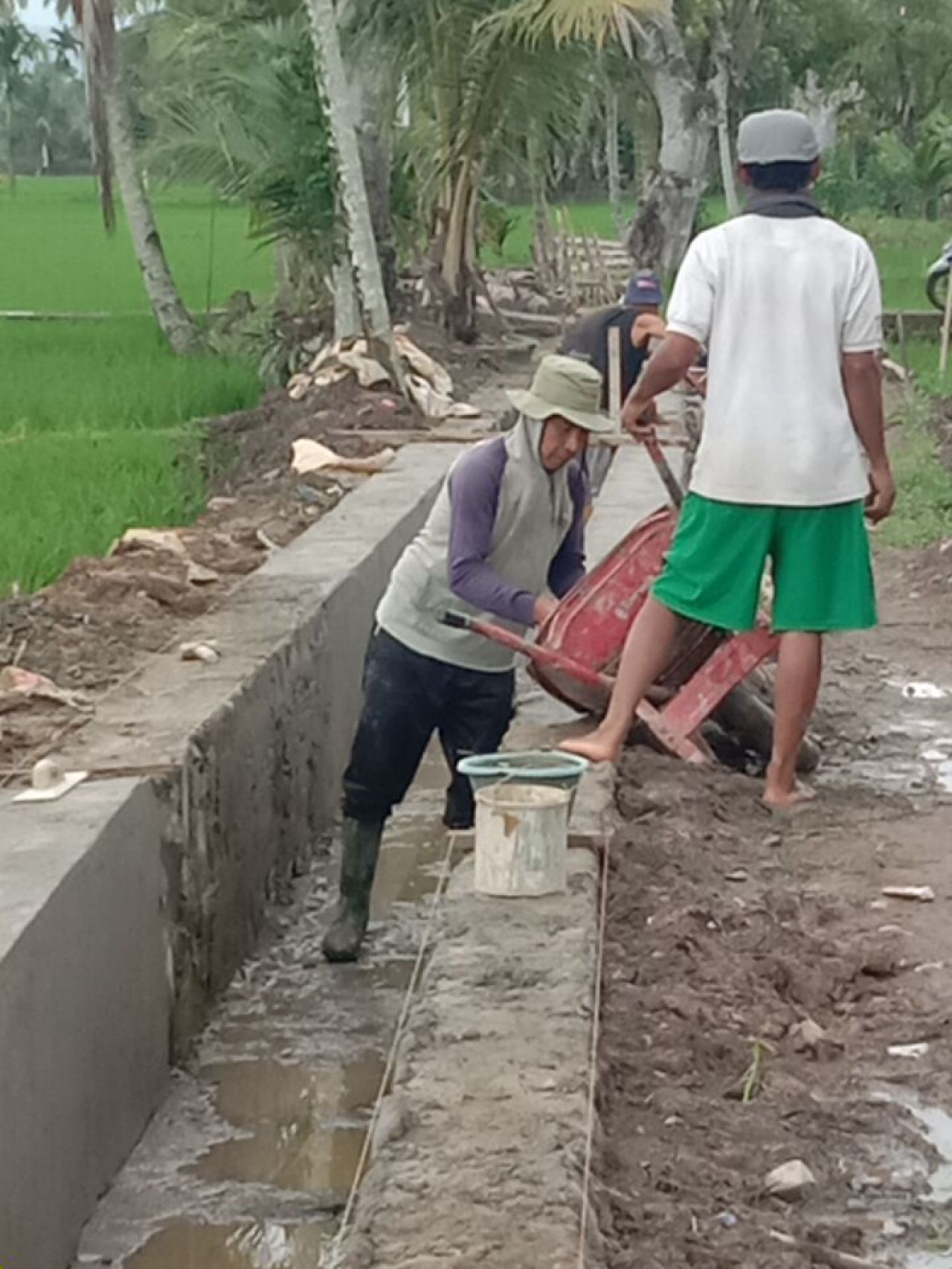 Petani Desa Garut Sumringah, Irigasi Baru Dorong Panen Melimpah